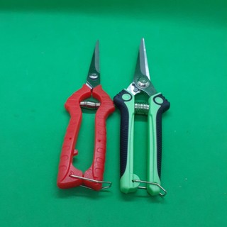 Kéo cắt cành cây to, có thể cắt cành đường kính 3cm