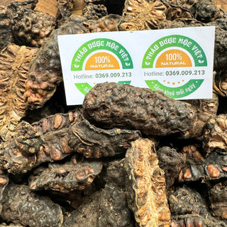 300g Trái Nhàu Khô Hàng Loại 1- Hỗ Trợ Bệnh Tiểu Đường, Nhuận Tràng, Giảm Ho, Lợi Tiểu, Điều Kinh
