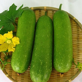 Hạt giống Bí Sặt 1gram hàng chính hãng công ty đóng gói
