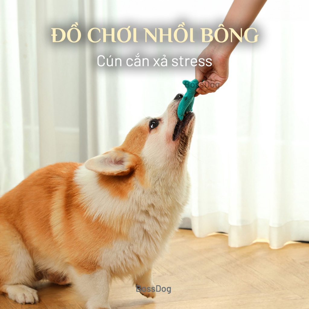 Đồ chơi thú nhồi bông cho chó mèo  - Đồ gặm xả stress cho thú | BossDog