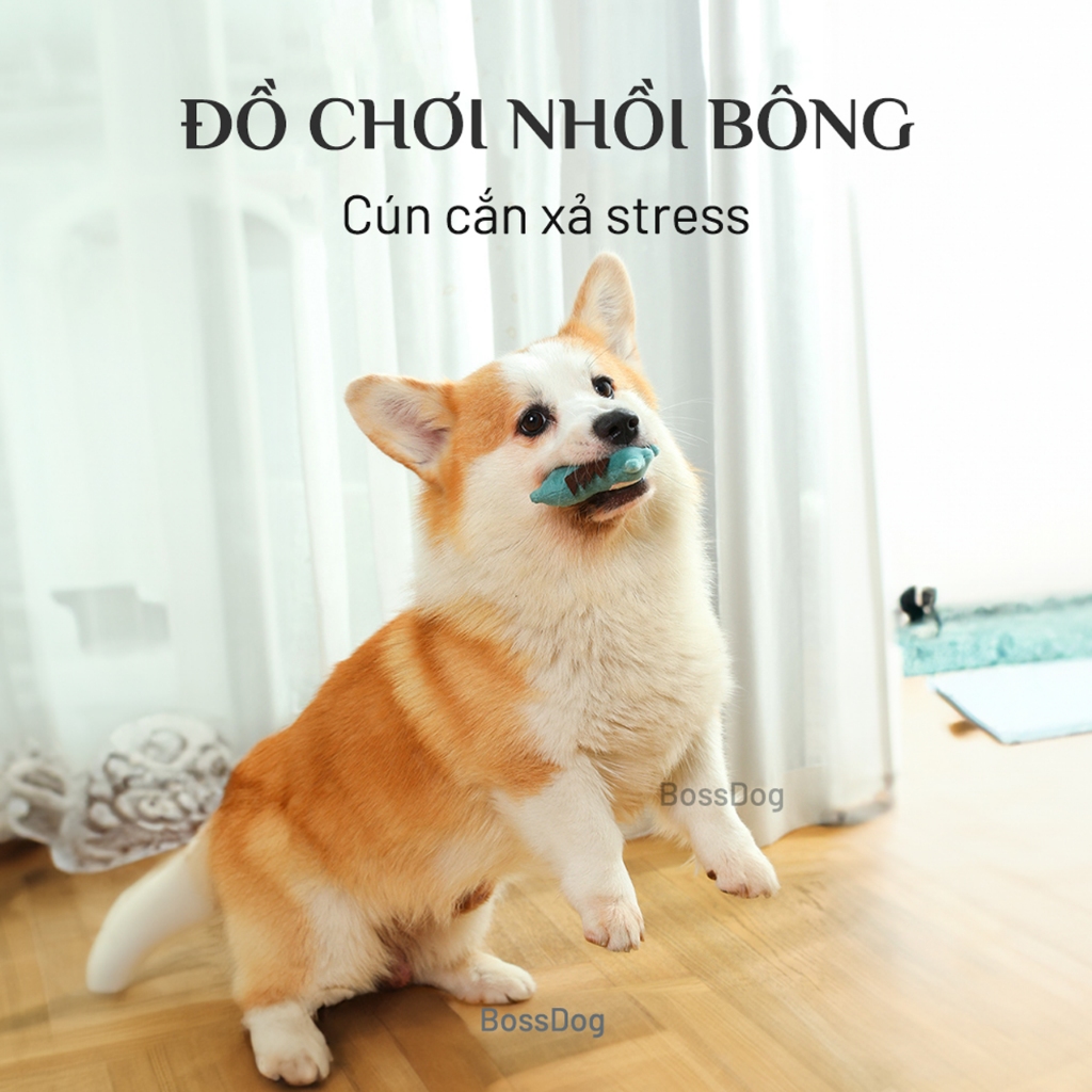 Đồ chơi thú nhồi bông cho chó mèo  - Đồ gặm xả stress cho thú | BossDog