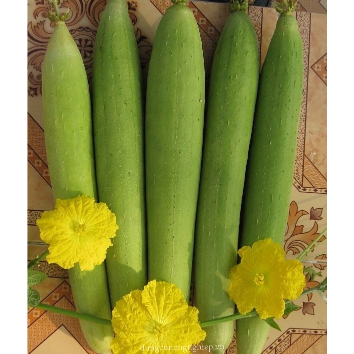 Hạt giống Mướp hương 1gram hàng chính hãng công ty đóng gói