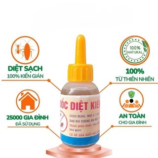 Thuốc Diệt Kiến Gián Tận Gốc An Toàn Hiệu Quả