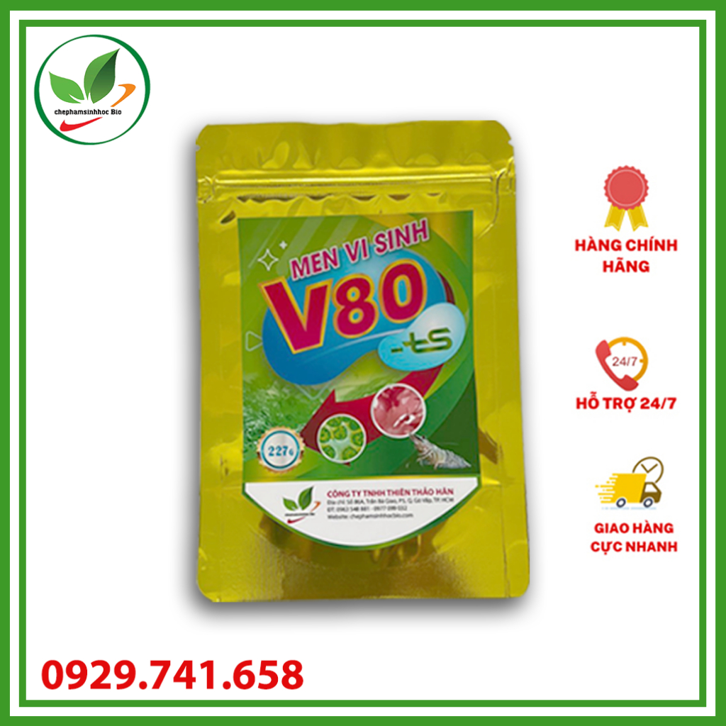 Men vi sinh V80 xử lý đáy ao nuôi tôm. Gói 227gr