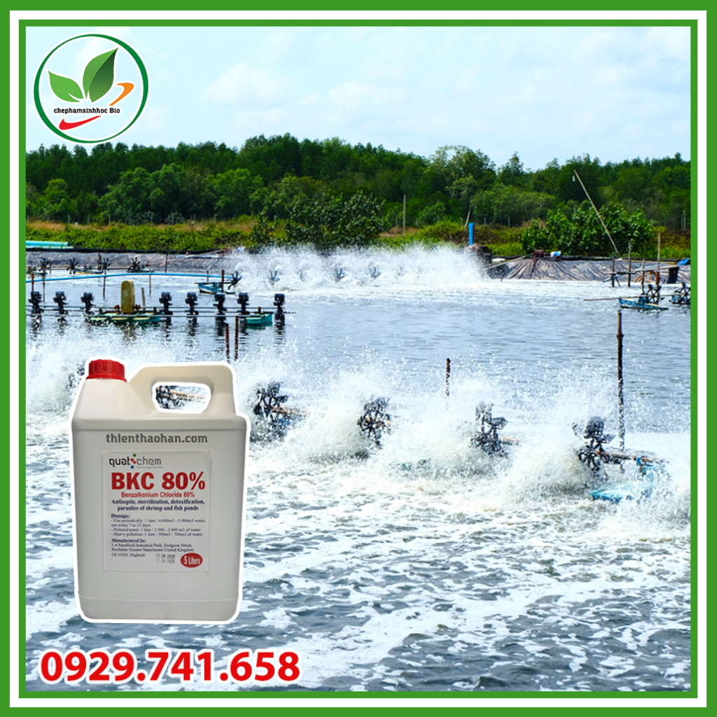 BKC 80%. Sản phẩm xử lý nước ao nuôi cá. Can 5l