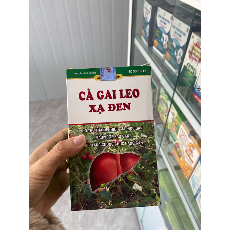 CÀ GAI LEO XẠ ĐEN
