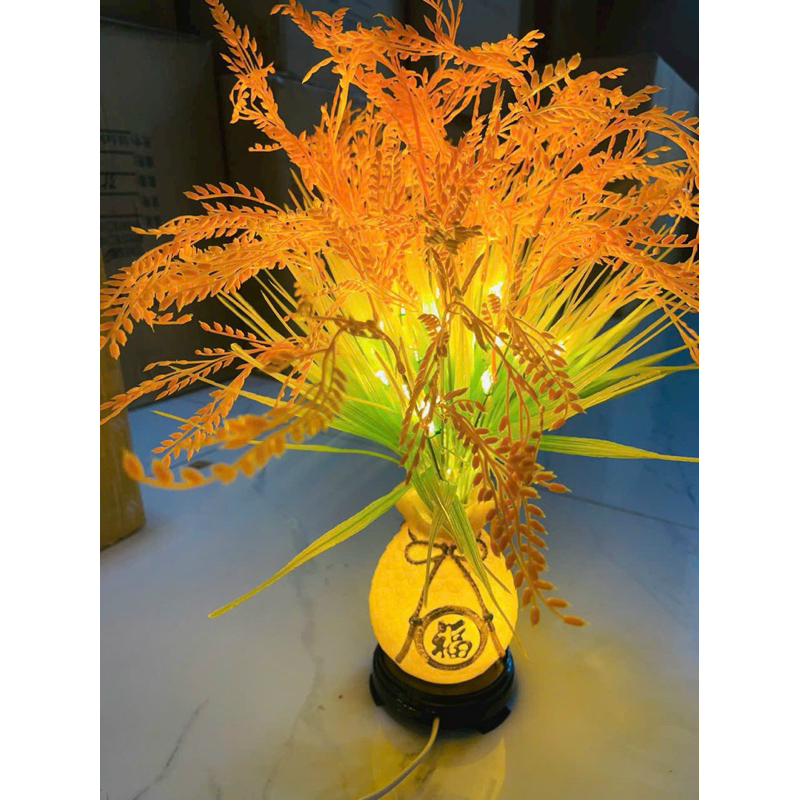 BÌNH BÔNG LÚA TÚI TIỀN VỀ HÀNG, BÌNH BÔNG LÚA TÚI TIỀN TRANG TRÍ NHÀ CỬA