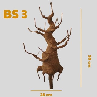 GỐC BONSAI BS3 ( CAO 30CM) LÀM THÂN MAI ĐÀO