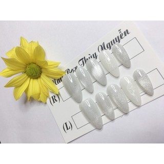 Nailbox thiết kế Mắt Mèo,bướm trắng ngẫu nhiên