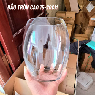 Chậu Thủy tinh Bầu Tròn Cao 15 - 20cm để bàn thích hợp trồng cây thủy canh hoặc nuôi cá cảnh