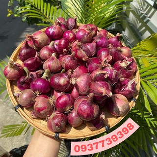 Hành Tím sạch nhà trồng - Chính gốc Phan Rang_Ninh Thuận