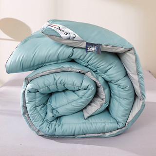 Ruột chăn lông vũ nhân tạo Burberry và Down is 2mx2m3, 3kg dày dặn túi đựng sang trọng, có thể đắp trực tiếp