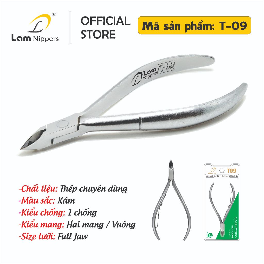 Thép chuyên dùng T09