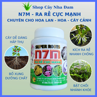 N7m phân bón kích thích ra rễ cực mạnh cho mọi cây trồng