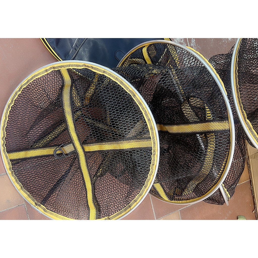 RỌNG CÁ SONG LONG