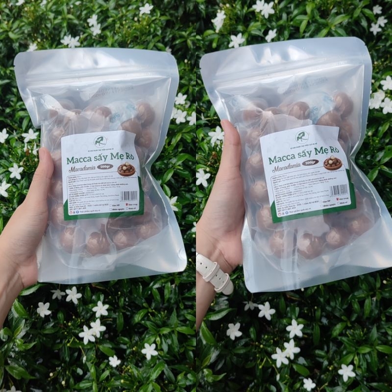 Hạt macca Đăk Lăk