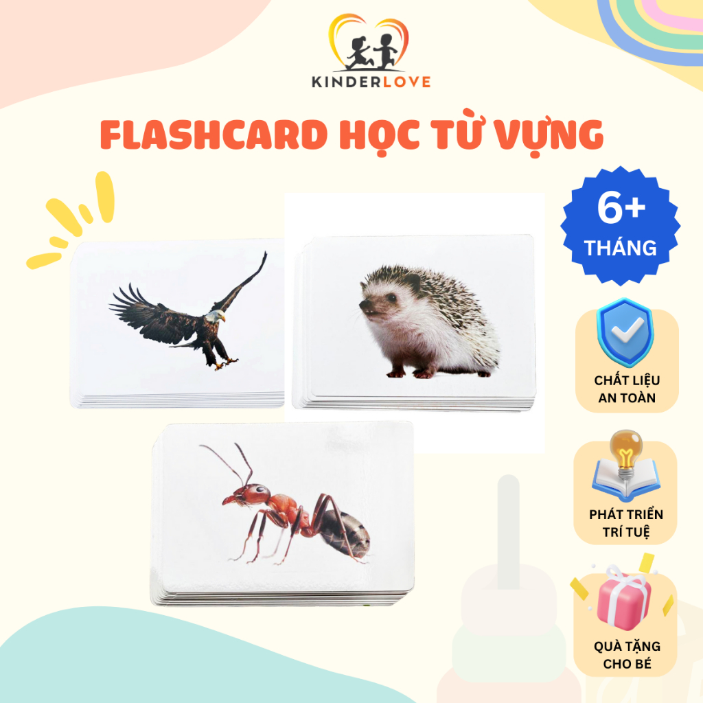 Flashcard Học Từ Vựng Tiếng Việt và Tiếng Anh Giúp Bé Phát Triển Ngôn Ngữ