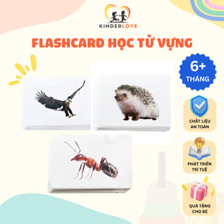  Flashcard Thẻ Học Từ Vựng Tiếng Việt và Tiếng Anh 20 Thẻ Loại Dày Đẹp Giúp Bé Phát Triển Ngôn Ngữ và Tư Duy | KINDERLOVE 