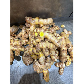 CỦ MAI GANG