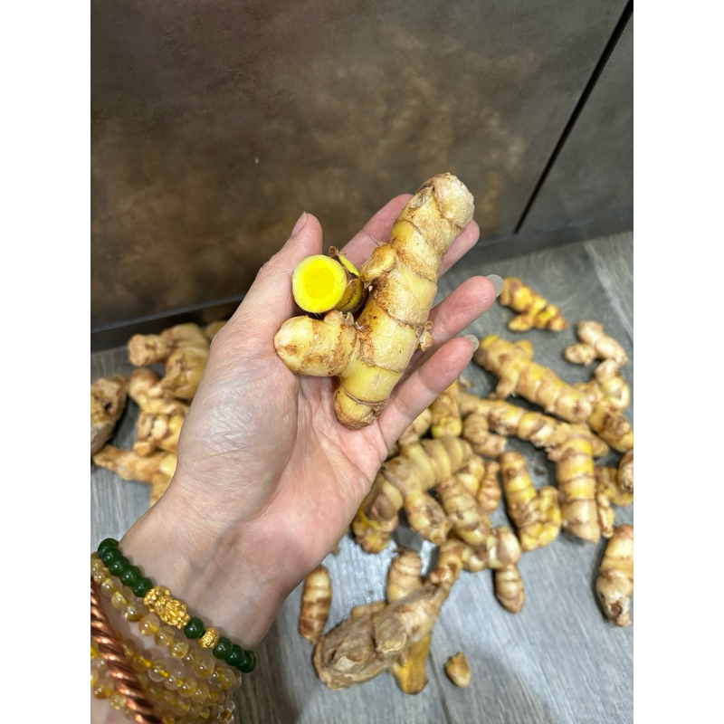 CỦ MAI GANG