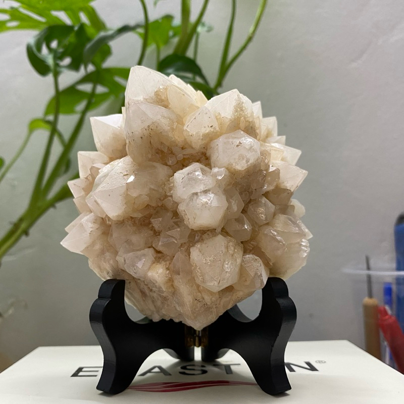 (432gram)Tinh thể đá Thạch Anh dạng vỉa(Quartz Crystal), dùng trưng bày, sưu tầm, thanh tẩy Tarot...!!!