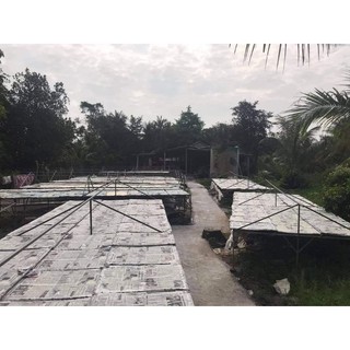 0,5KG BỘT NẾP LỌC SADEC