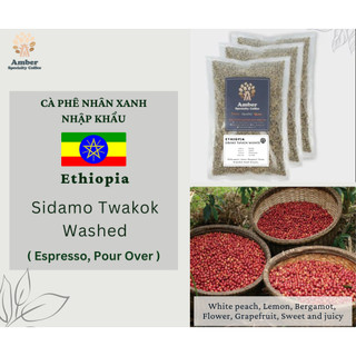 Cà phê nhân xanh ethiopia sidamo twakok washed g1 lot 23/02 - 1kg | amber specialty coffee