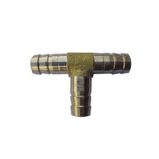 T chia biogas (phi 10)
