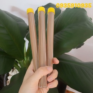COMBO 5 ỐNG NHANG TRẦM KHÔNG TĂM