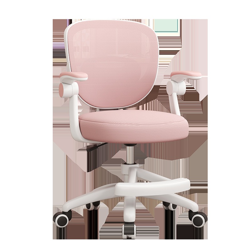 Ghế Chống Gù Học Sinh  Nâng Hạ Độ Cao, Đệm Cao Su Siêu Êm Cho Bé Tư Thế Ngồi Khoa Học Tiện Lợi | BigBuy360 - bigbuy360.vn