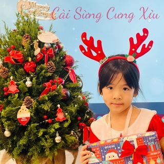 [Nhiều Mẫu] Cài Sừng Cưng Xỉu -Băng đô cài tóc sừng tuần lộc hóa trang lễ giáng sinh - Phụ kiện hóa trang Noel