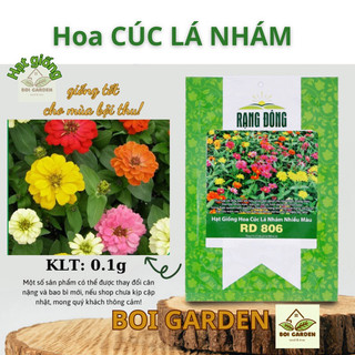 Hạt giống hoa cúc lá nhám nhiều màu