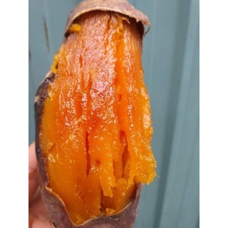  3 kg khoai mật Tà Nung củ to vừa size 7,8 củ kg 
