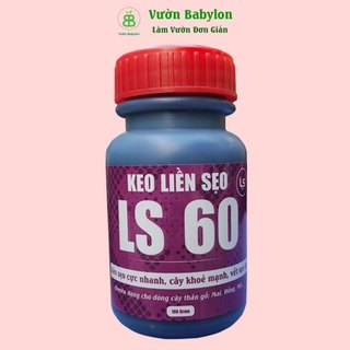 Keo Siêu Liền Sẹo Cây Cao Cấp LS60 Hũ 100g - Keo liền da cây Chất Lượng Cao
