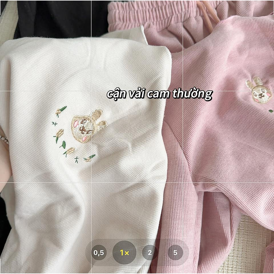 Set bộ thỏ 3542 #670132