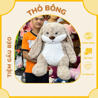 Thỏ bông hờn dỗi, Thỏ bông tay dài đáng yêu- thỏ bông hottrend