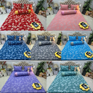 Bộ drap thun hàn quốc 4 món mẫu lá siêu đẹp