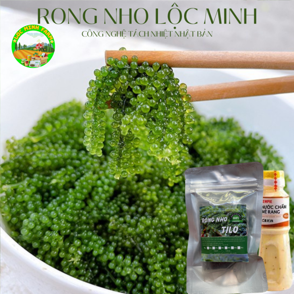 [500gr Rong nho tách nước 5 gói 100gr chuẩn loại 1] rong nho tách nước, ngon giòn, hạt to, dùng kéo dài giảm cân nhanh.