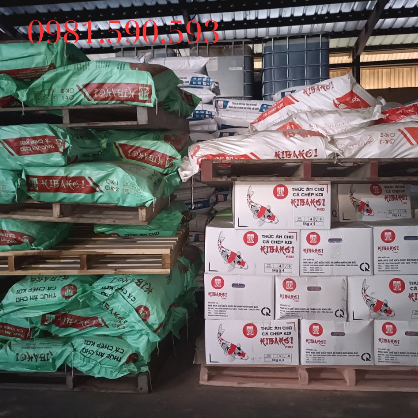 Cám cá Koi Kibakoi 2 trong 1 - cho cá Koi - - tăng size mạnh, lên màu chuẩn độ đạm cao hàng công ty