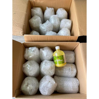 2 chai cốt gừng tràm khuynh diệp 500ml