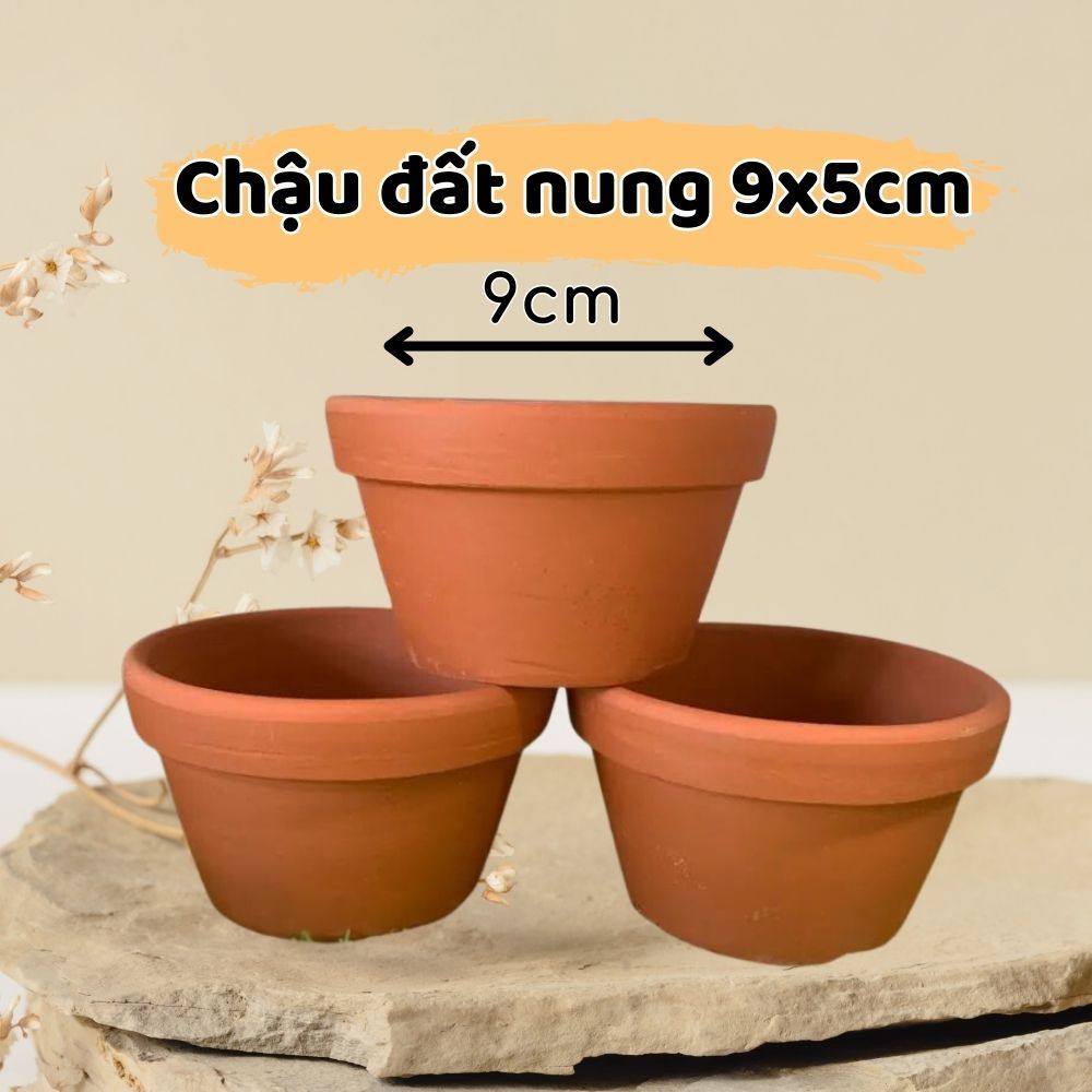 chậu đất miệng 9cm cao 5cm chuyên trồng sen đá xương rồng, cây cảnh mini