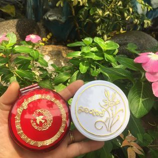 Phấn phủ trang điểm Thái Lan con chim Én 15 g