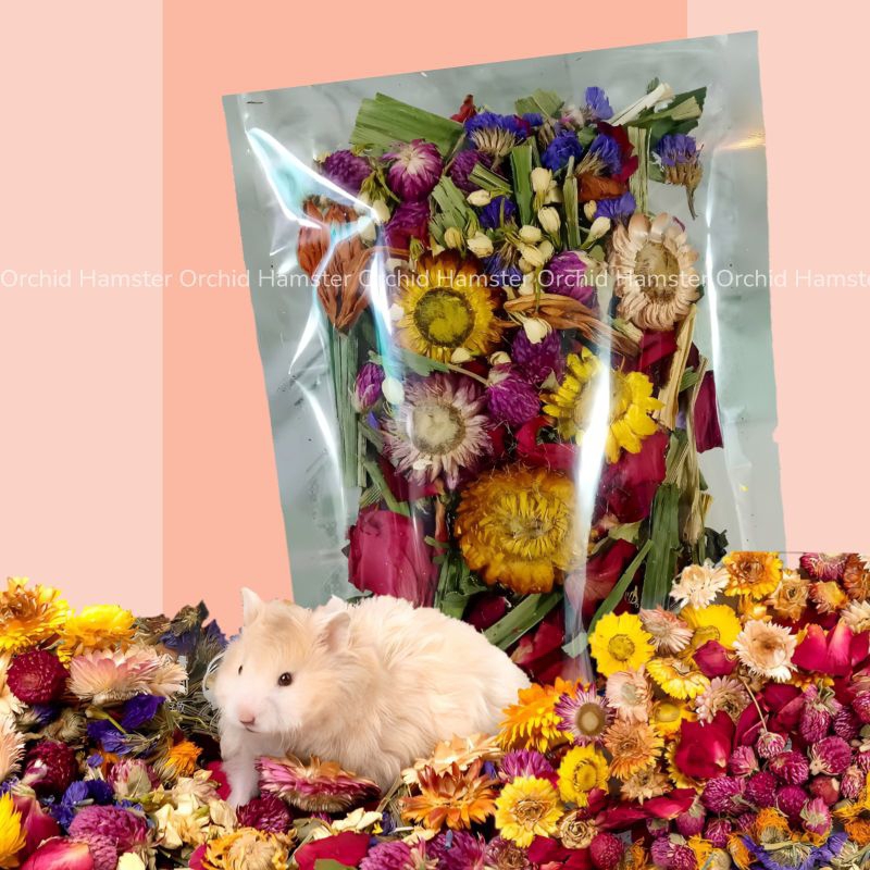 Thảo Dược Giải Nhiệt & Giảm Stress Cho Hamster