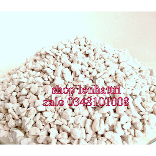 Đá trân châu đá Perlite trồng sen đá cây cảnh giá thể trồng cây 500g
