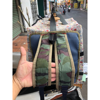 BA LÔ CHAO MÀO, CHÍCH CHOÈ