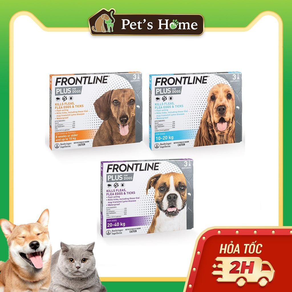 Tuýp Frontline Plus nhỏ gáy trị ve rận cho chó