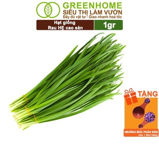 Hạt Giống Hẹ Cao Sản Greenhome, Gói 1gr, Dễ Trồng, Nảy Mầm Cao, Thu Hoạch Nhanh, Năng Suất Cao G04