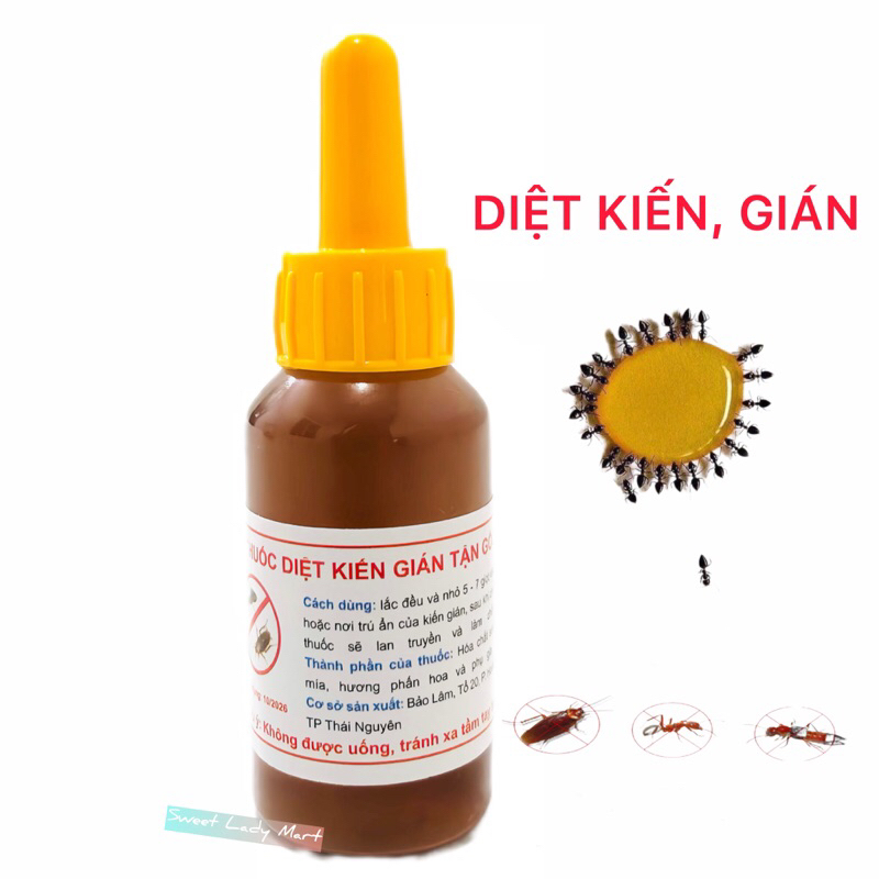 Thuốc Diệt Kiến Gián Sinh Học Tận Gốc Hàng Chuẩn Thái Nguyên