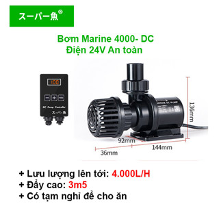 Máy Bơm Chống Giật MARINE DC 650 | 1000 | 2500 | 4000 | Bơm Nước Hồ Cá Cao Cấp -Nguồn 24V-chính hãng
