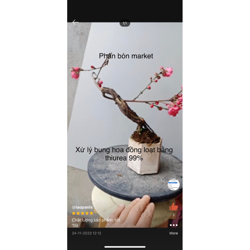 PHÂN BÓN KÍCH THÍCH TRỔ BÔNG, RA HOA ĐỒNG LOẠT